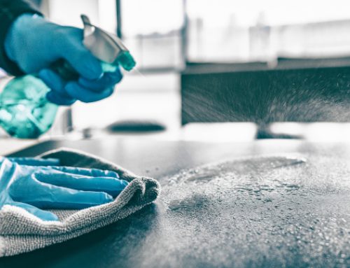 Steam Cleaning vs Dry Cleaning Carpets: Which Method Wins?