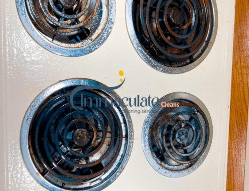 Probiotic Cleaning Products: The Science Behind Living Cleaners