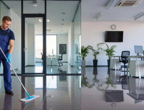 Carpet Care Between Deep Cleans: Extend Your Carpet’s Life