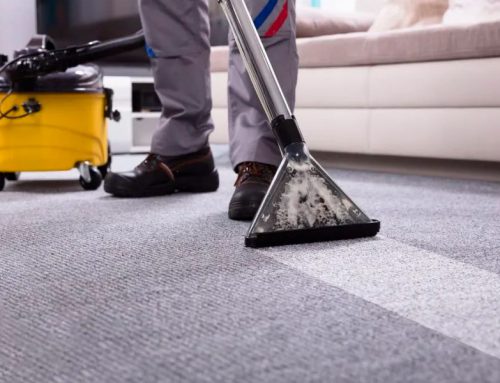 Carpet Extraction: Deep Clean Your Carpets | Immaculate Cleans