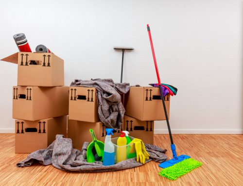 Move In / Move Out Cleaning Services | Immaculate Cleans